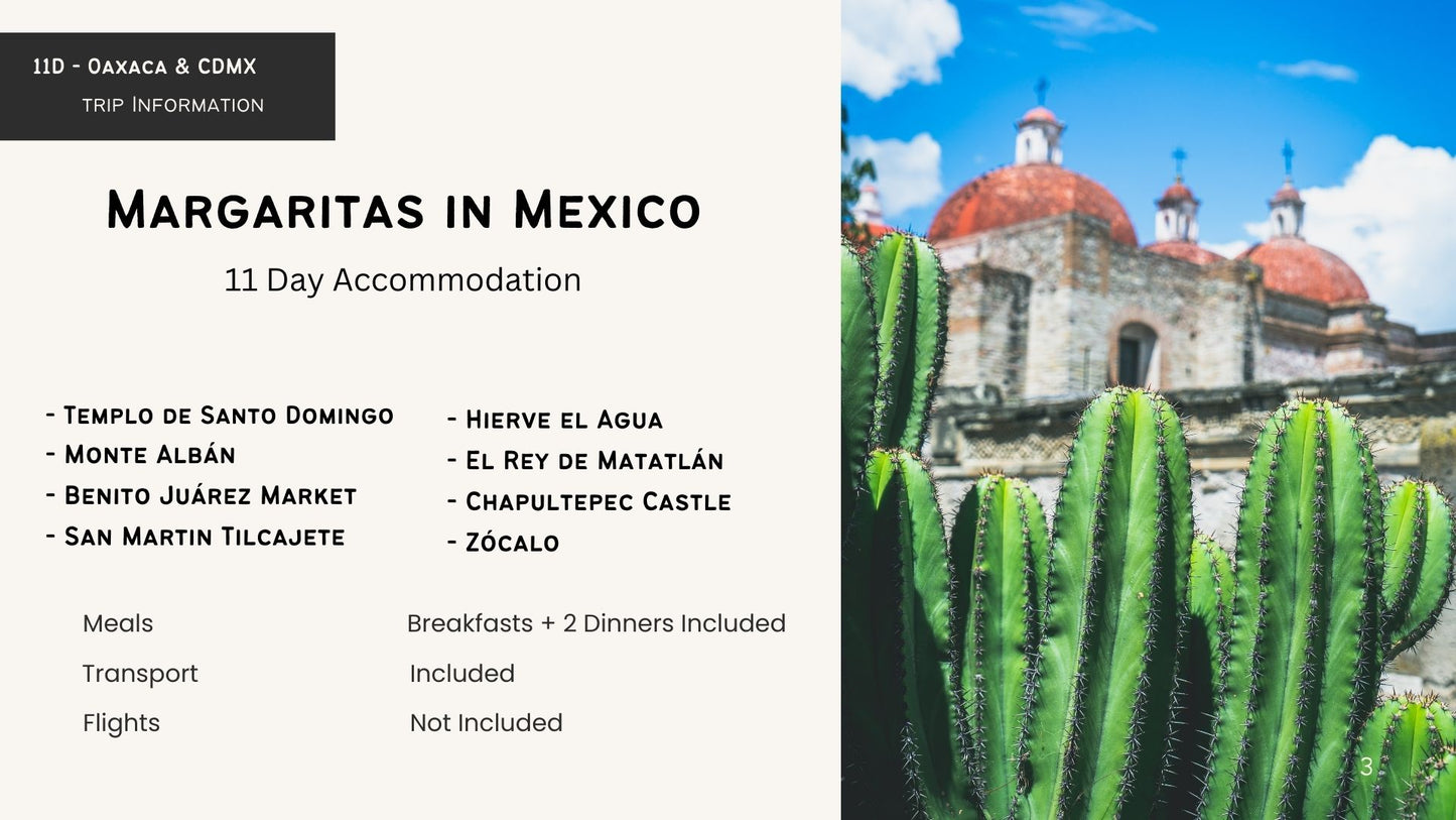 Margaritas in Mexico with The Margarita Mum - Reservation Deposit