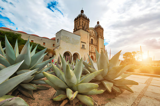 Margaritas in Mexico with The Margarita Mum - Reservation Deposit