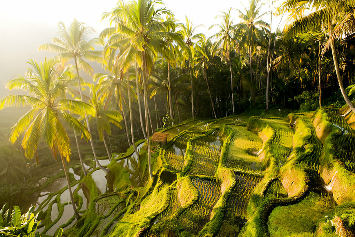 Ultimate Bali with Liv & Lew - Booking Deposit