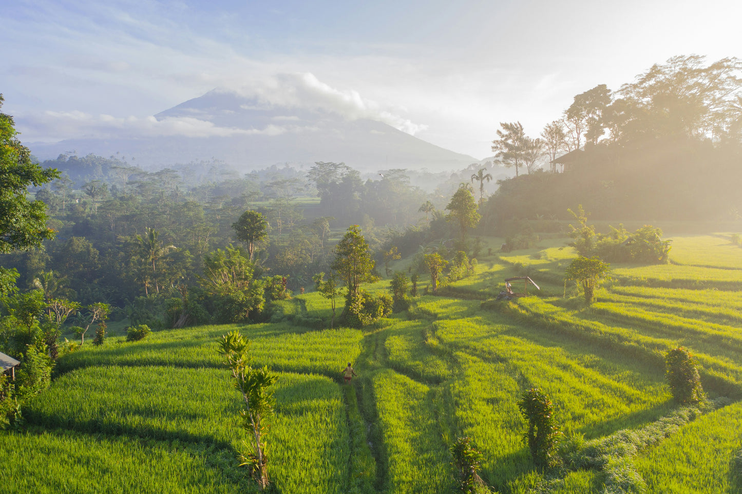 Explore Bali with @Wonderful_Places & @travelingwithsue - Reservation Deposit